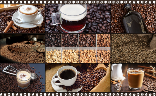 What Are The Best Coffee Beans? 20 Top Picks for 2025