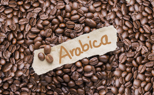 What are Arabica Coffee Beans: 10 Surprising Facts You Need to Know